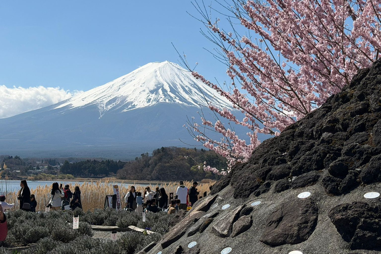 From Tokyo: Mount Fuji and Hakone Private Customizable Trip From Tokyo: Mount Fuji and Hakone Full Customizable Trip