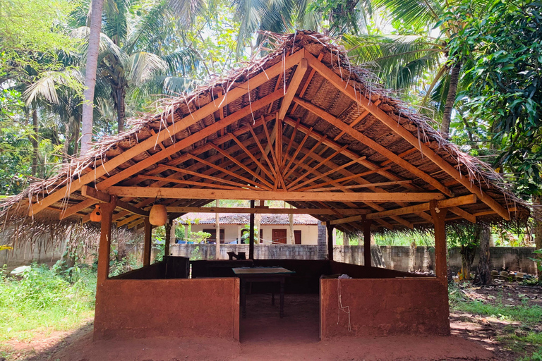 Corso di cucina pratica ad Anuradhapura: cucina come un localeCorso di cucina pratica ad Anuradhapura: cucina come un vero abitante del posto