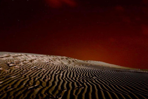 Doha: Night Desert Safari Stargazing Dune Bashing,Camel Ride