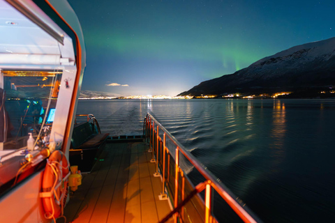 Tromsø: Electric Northern Lights Cruise