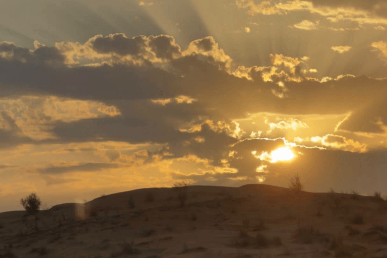 From Tunis: 10-Day Private Tunisia Adventure Tour