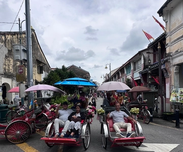 Penang: Penang Island Full-Day Private Tour