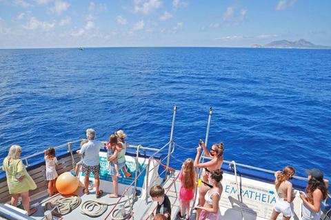 Majorque : Tour en bateau de 3 heures l&#039;après-midi pour observer les dauphinsLieu de rendez-vous à Paguera