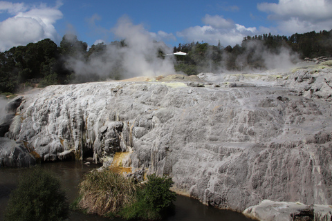 Rotorua: Glowworm Cave, Redwoods Forest & Te Puia Tour