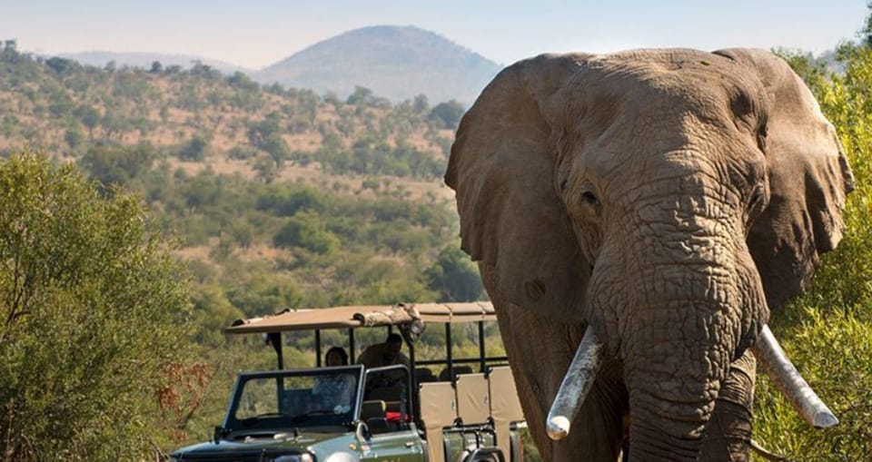 Hluhluwe Isimangaliso Wetlands Park 2 Daagse Tour Vanuit Durban