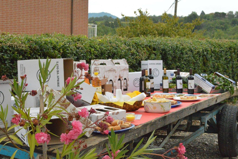 Casalnoceto: Winery Tour with Wine Tasting & Local Food Winery Visit in Alessandria - Italiano