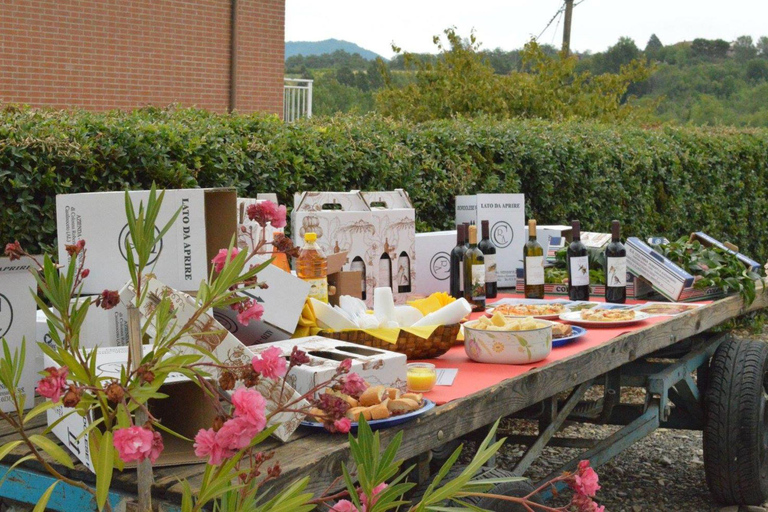 Casalnoceto: Winery Tour with Wine Tasting & Local Food Winery Visit in Alessandria - Italiano
