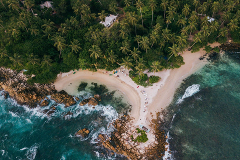 De Kalutara à l&#039;observation des baleines et à la plongée en apnée avec les tortues de Mirissa