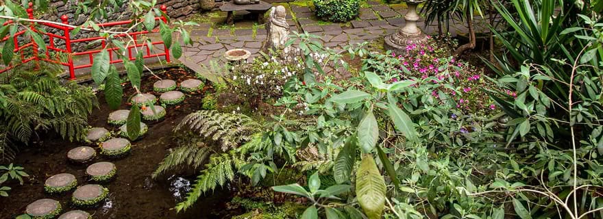 Madère : Jardins tropicaux de Monte + vieille ville en tuk-tuk par MadTuk