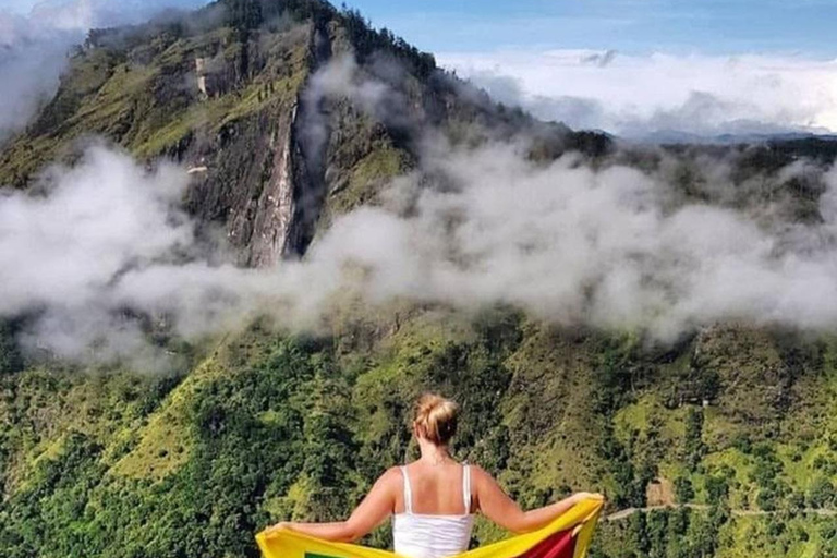 From Bentota: Private Ella Highlands Scenic Day Tour