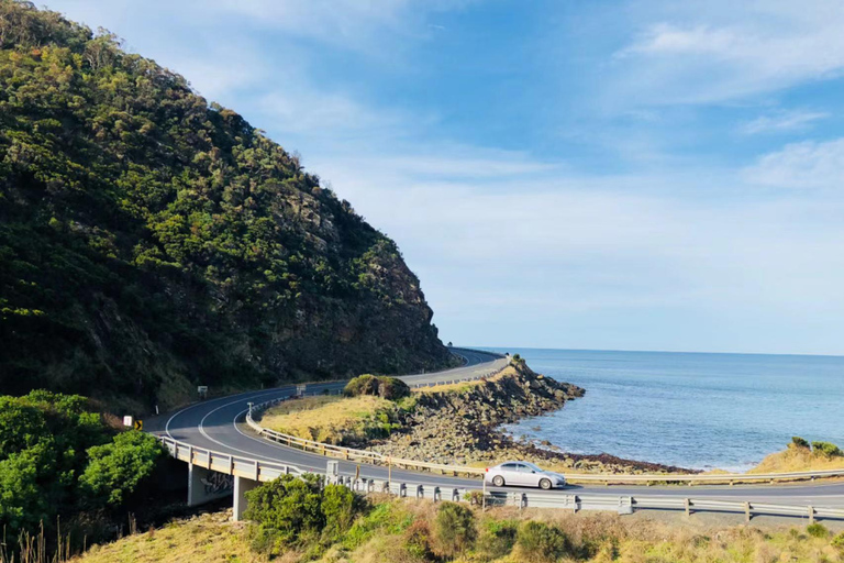 Melbourne : Circuit d&#039;une journée sur la Great Ocean Road avec les lieux emblématiques