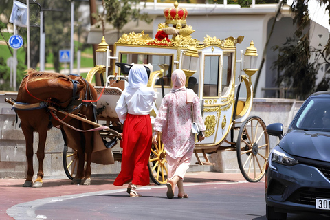 Desde Marrakech Excursión de un día a Agadir