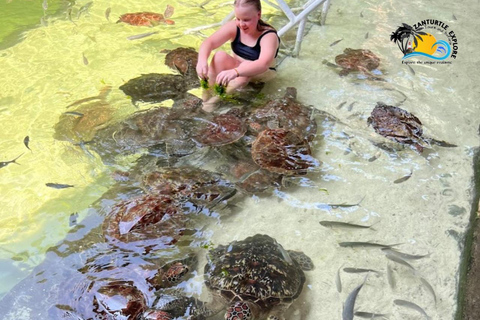 Nungwi: Swimming with Turtles at The Lagoons Zanzibar Hotel Transfers within Nungwi and Kendwa