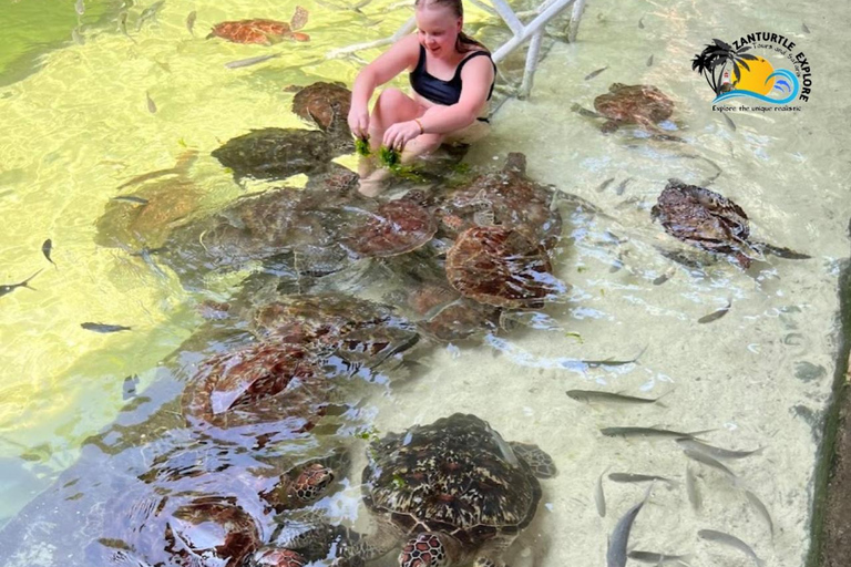 Nungwi: Swimming with Turtles at The Lagoons Zanzibar Hotel Transfers within Nungwi and Kendwa