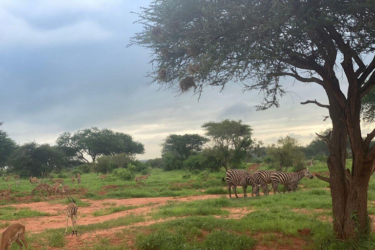 Diani/Mombasa: 2 Days to Tsavo East & Tsavo West with meals