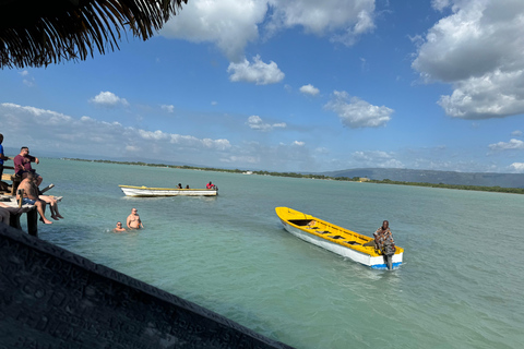 Jamaica: YS falls, Black River Safari day tour from Negril