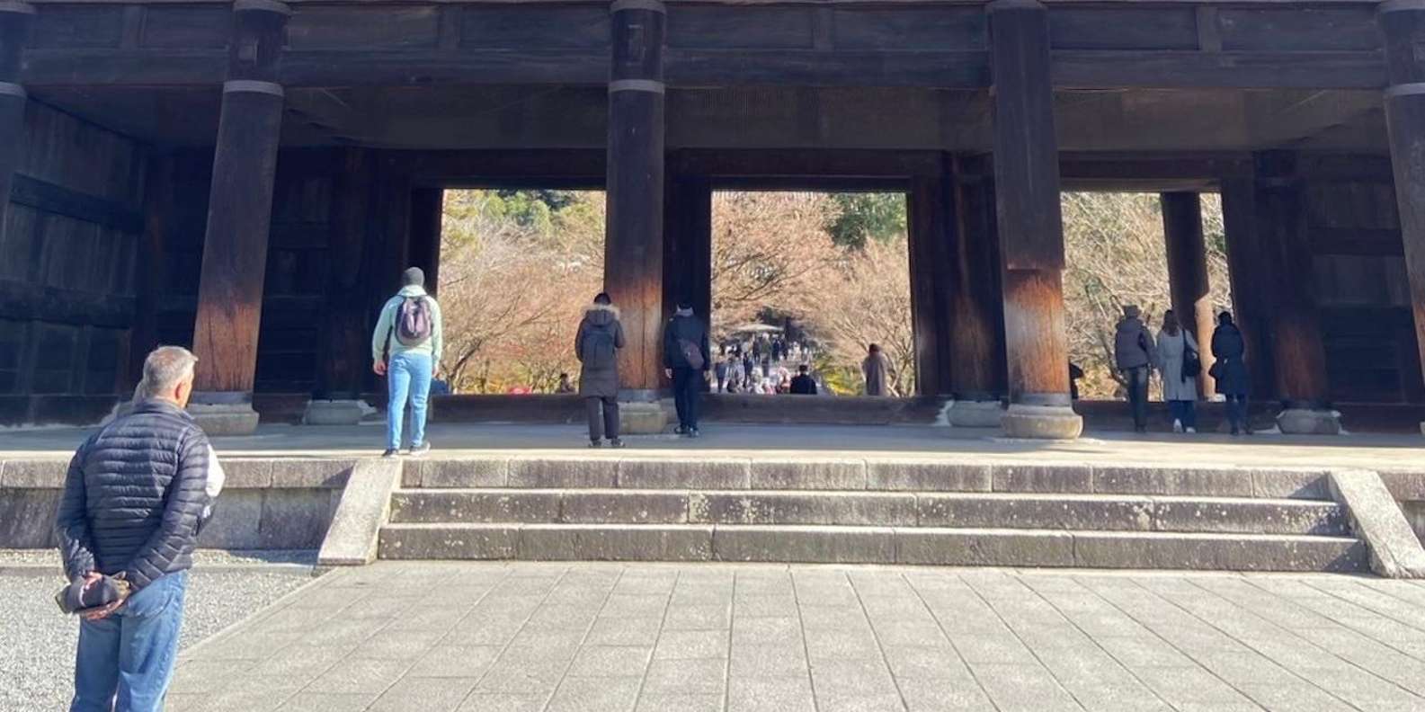 Kyoto experience — temples, geisha, bamboo grove — image 21