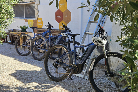 Wyspa Šolta ze Splitu: Prywatna wycieczka na rowerze elektrycznymWyspa Šolta: Prywatna wycieczka na rowerze elektrycznym