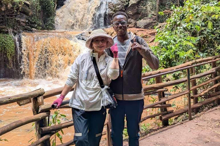 Nairobi: Karura Forest & Waterfall Guided Nature Excursion.
