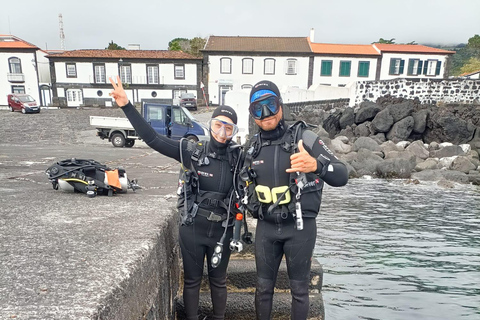 Pico Island: Guided Shore Diving for Certified Divers