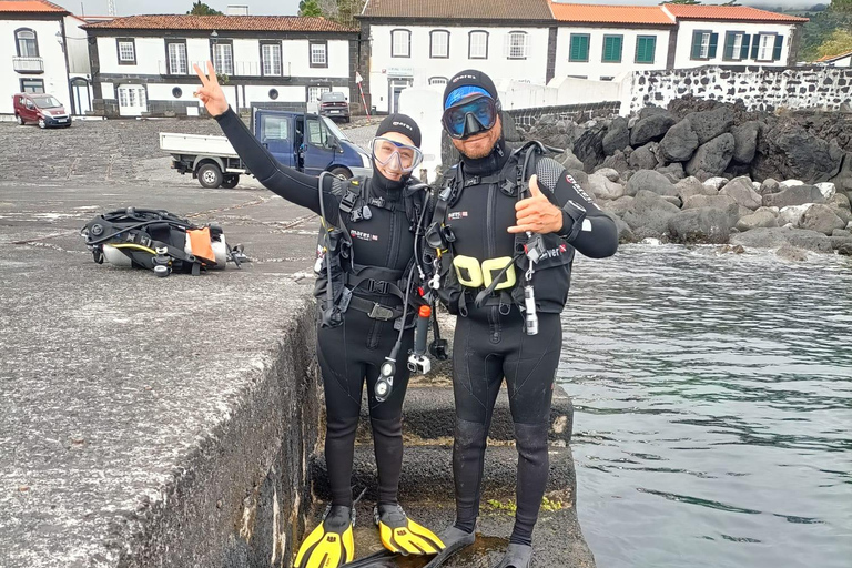 Pico Island: Guided Shore Diving for Certified Divers