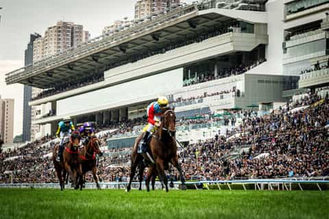 香港競馬場：ガイド付きツアー（飲食体験付き） - 2026件（実際の体験