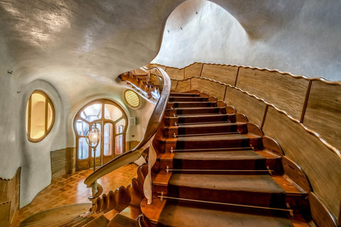 Barcellona: Tour guidato veloce di Casa Batlló