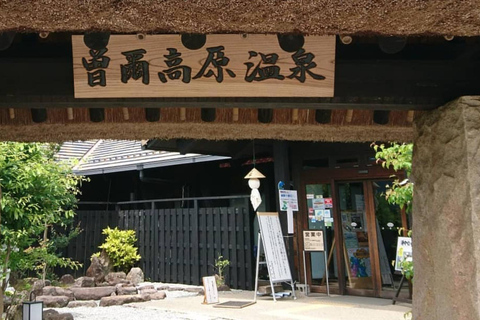 Osaka: Nara’s Hidden-gem Temples, Art Forest Day Tour