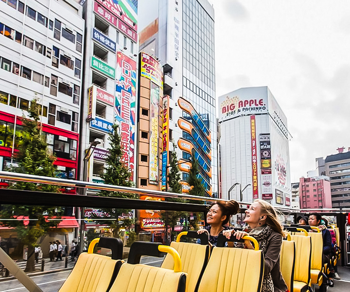 Tokyo: Hop-On Hop-Off Sightseeing Bus Ticket