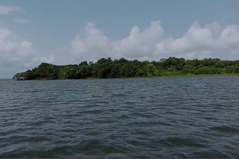 Kochi: Kumarakom Day Trip with Shikara Cruise & more