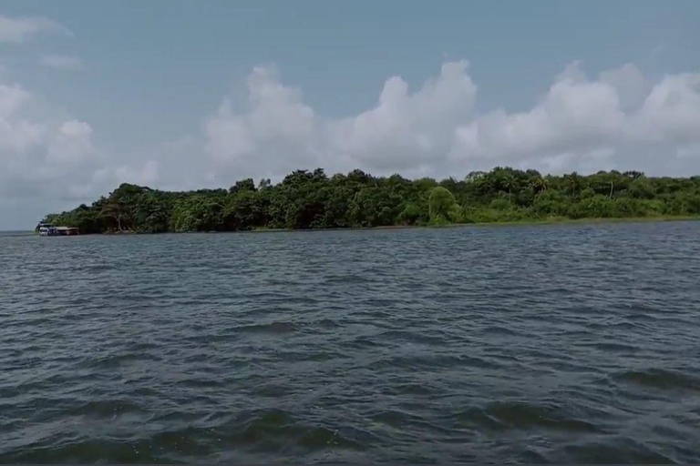 Kochi: Kumarakom Day Trip with Shikara Cruise & more