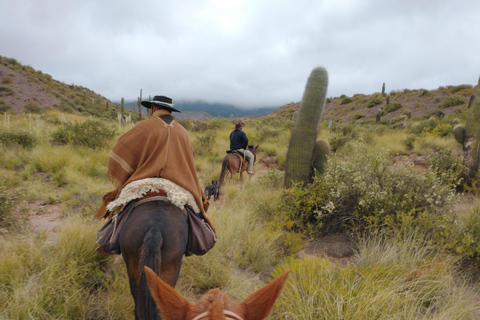 Horseback riding in the Calchaquí Valleys - Salta - Argentina