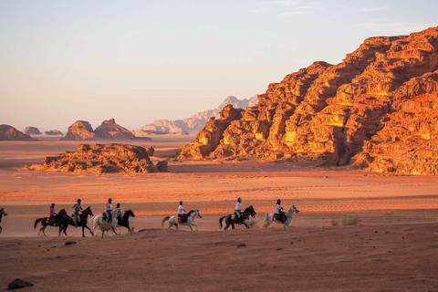 Wadi Rum: Solo Travelers Desert Adventure with Dinner