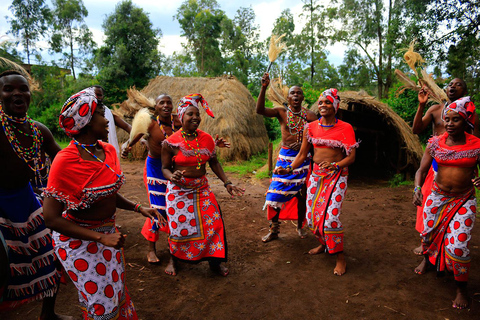 Giraffe Center, Elephant Orphanage And Bomas Of Kenya Visit