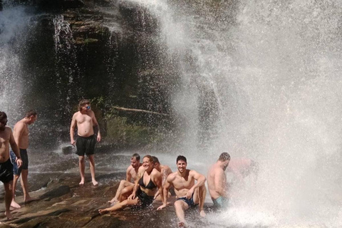 Chiang Mai: Jungle Trek, Elephants care & Bamboo Rafting