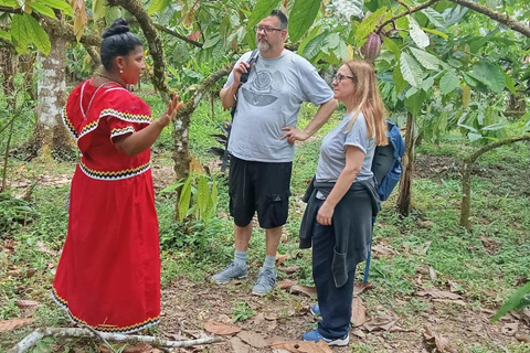 Indigenous Cacao Tour in Bocas del Toro