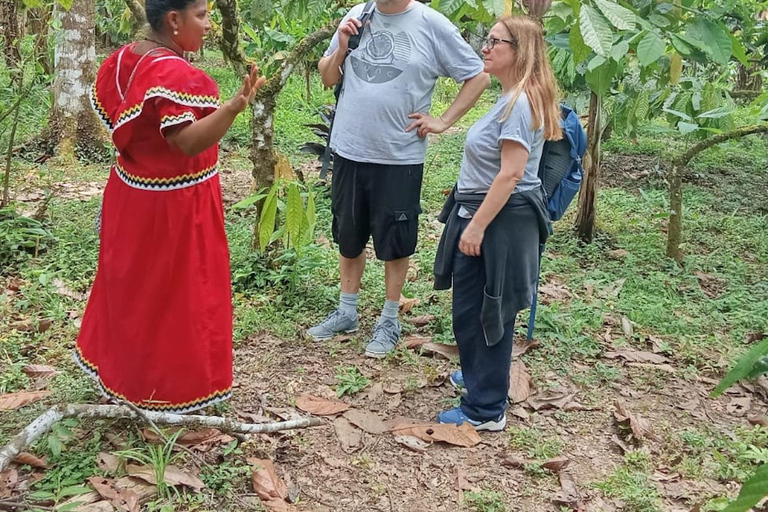 Indigenous Cacao Tour in Bocas del Toro