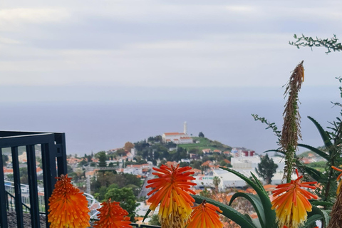 فونشال: جولة عائلية في جزيرة ماديراجولة عائلية في جزيرة ماديرا