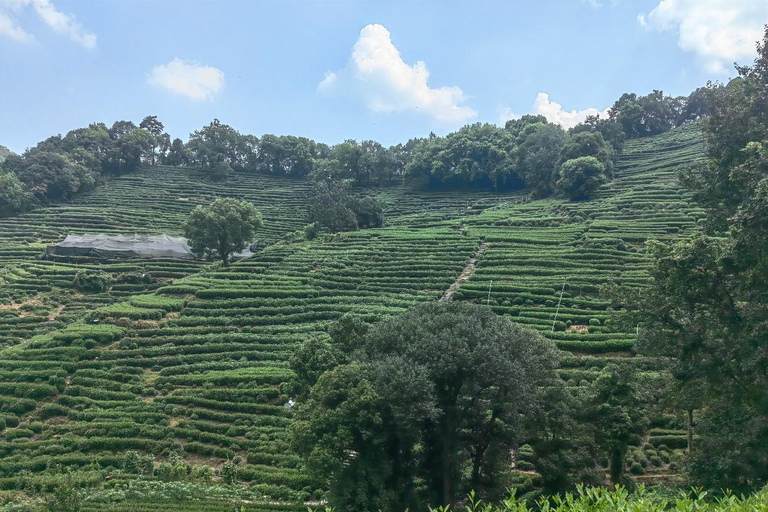 Hangzhou Jiuxi, Shililangdang & Yunqi Day Hiking Tour