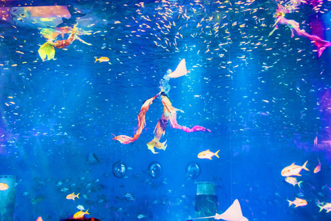 Shanghai: Haichang Ocean Park Volwassen ticket - geldig tot 1 DEC.