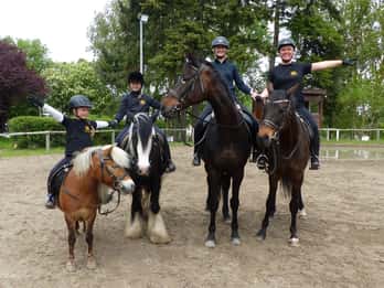 Hirschburg: Day at the stables