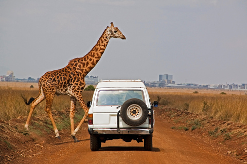 Nairobi, Elephant Orphanage &amp; Giraffe CentreNairobi: National Park, Elephant Orphanage &amp; Giraffe Centre