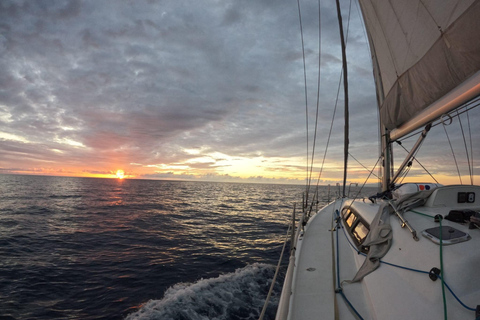 Las Palmas: Enjoy an exclusive experience of 4 or 7 hours. Las Palmas: 7-hour sailing experiences.