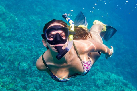 Bali : Observation des dauphins au lever du soleil, baignade et plongée en apnéeTour en bateau privé avec lieu de rendez-vous