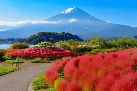 Tokyo: Mount Fuji Nagano Nikko - Guided Tour