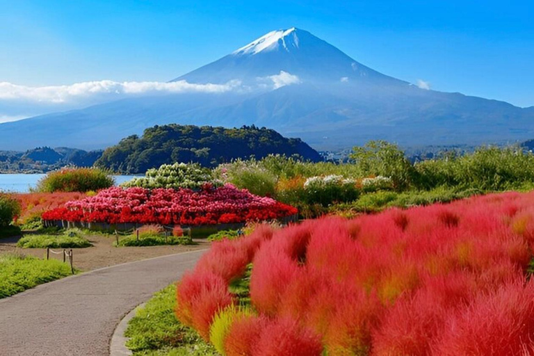 Tokyo: Mount Fuji Nagano Nikko - Guided Tour