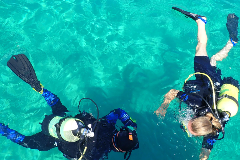 PADI Discover Scuba Diving (DSD) - beginners, Charaki Rhodes PADI DSD program 4 hours (2 dives) beginners, Charaki Rhodes