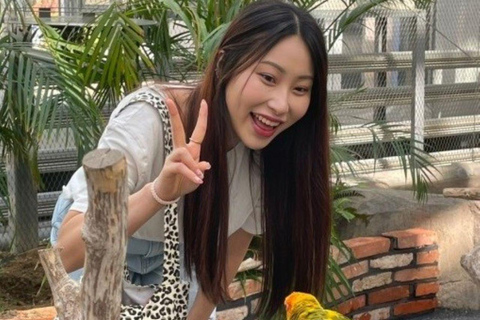 From Seoul: Begonia Bird Park, Rail Bike and Garden Tour Dongdaemun 9:00 am