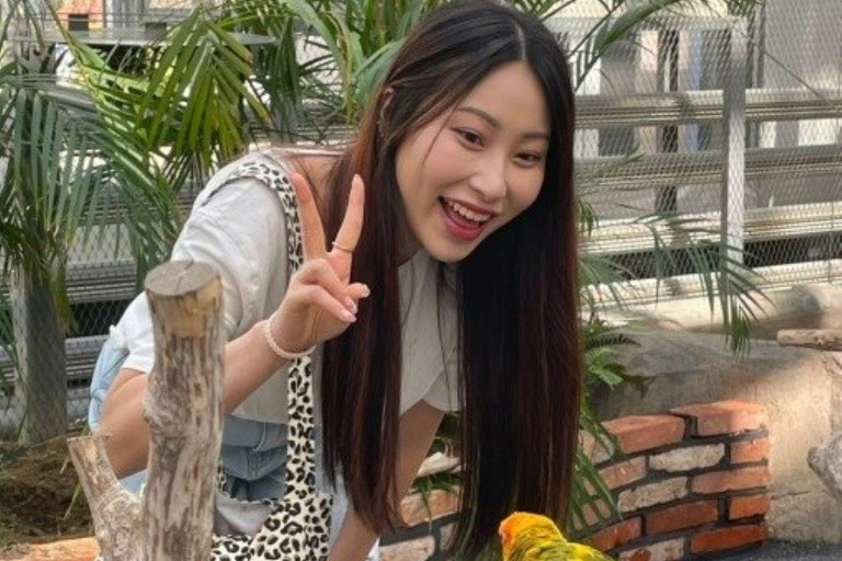 A partir de Seul: Begonia Bird Park, Rail Bike e Garden TourDongdaemun, 9h