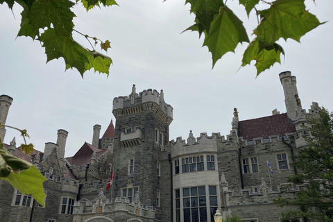 Toronto: Tour privado de la ciudad en grupo reducido con guía local